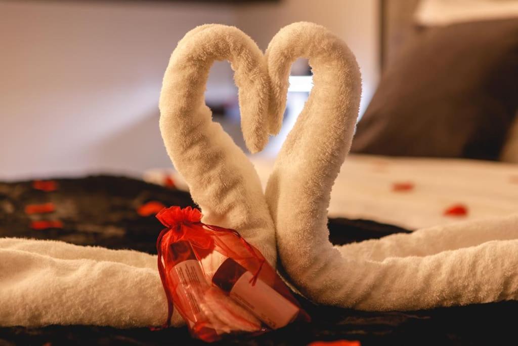 My Love Nest ชาตีลง-ซูร์-ชาลาโรนน์ ภายนอก รูปภาพ